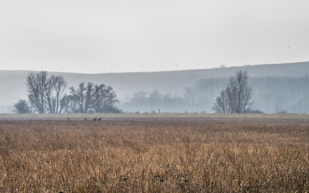 Landschaft