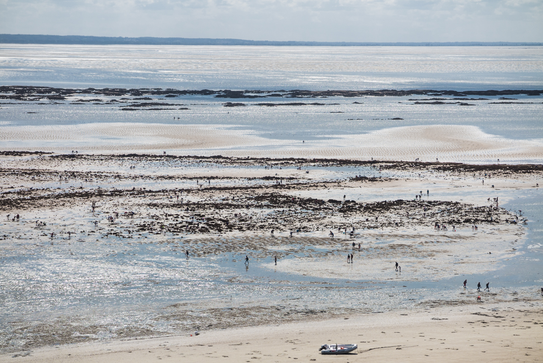während der Ebbe tauchen zahlreiche Bewohner der Normandie auf, um Muscheln und Austern zu ernten.