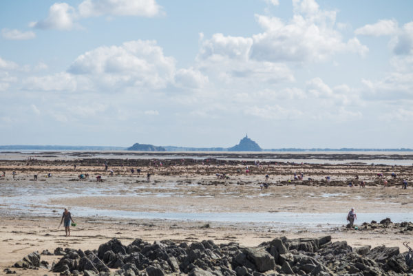 während der Ebbe tauchen zahlreiche Bewohner der Normandie auf, um Muscheln und Austern zu ernten.